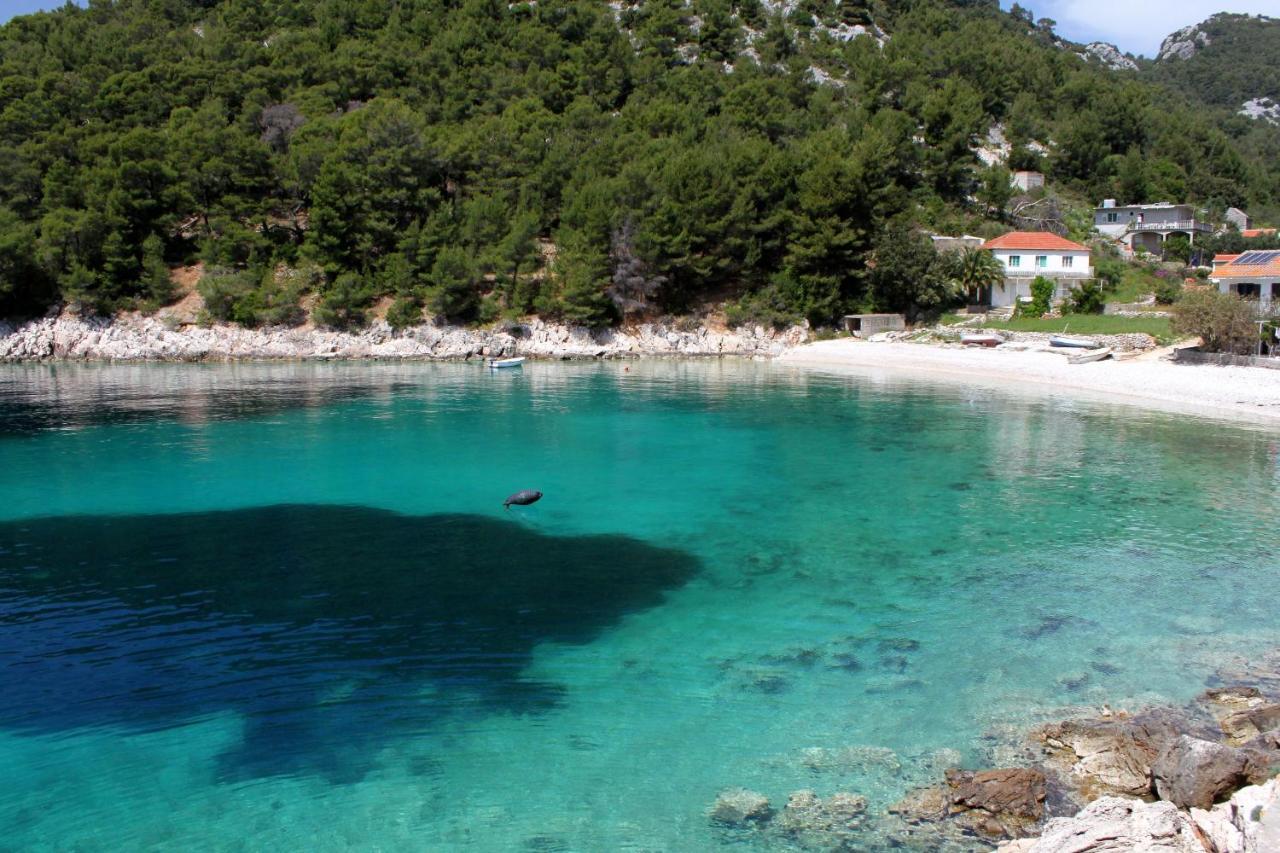 Seaside Secluded Apartments Cove Skozanje, Hvar - 14899 Gdinj Dış mekan fotoğraf